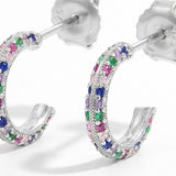 925 Sterling Silver Contrast Zircon Earrings