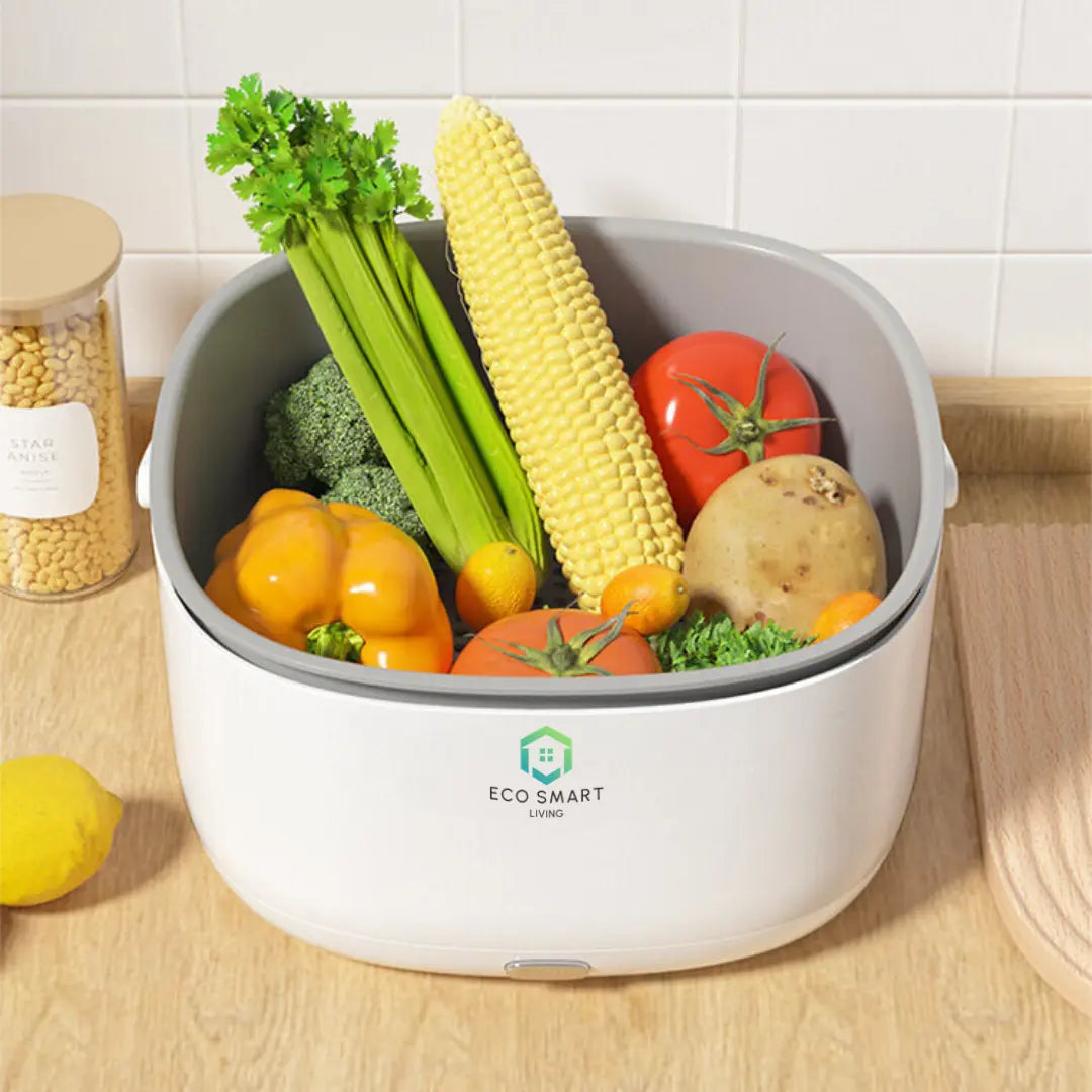 Vegetable Washing Machine Purifier