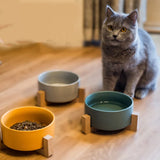 Ceramic Anti-Flip Bowl For Pets