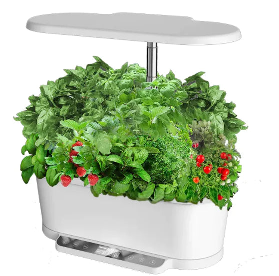 APP Hydroponics Machine With LCD