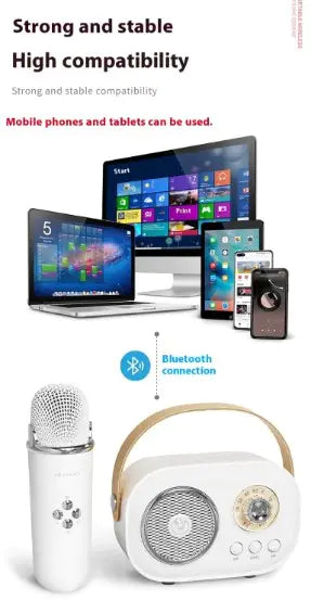 Portable Bluetooth Audio With Wireless Microphone