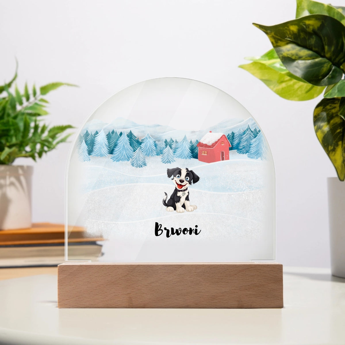 Acrylic Dome Plaque