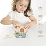 Wooden Montessori Puzzle Toy